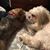 Claudia Velasquez's profile image