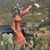 Vickie Rudd DeMand's profile image