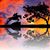 Nancy O'Neill Spoltore's profile image