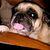 Anna Krepps's profile image