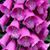 Marilyn Condiff's profile image