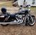 Tracy Guillory Stafford's profile image