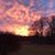 Rebecca Graham Waninger's profile image