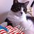 Natalie Brosius's profile image