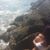 Brenda Ruballo's profile image