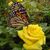 Doris Nelson's profile image