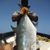 Hoku Hitachi's profile image
