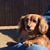 Jennifer Florian's profile image