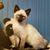 Mary Helen Rupp's profile image