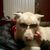 Tim Ellis's profile image