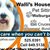 Walli's House N 'Pets's profile image