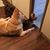 Heidi Bulmer's profile image