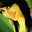 Liz Bedore's profile image