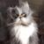 Brian Gassman's profile image