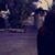 Lorena Pasillas's profile image