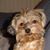 Mathew Rainoldi's profile image