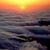 Stella Herron Tutt's profile image