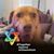 Aaron Geraldovich Glassman's profile image