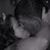 Timothy Shell's profile image