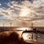 Debby McCormick's profile image