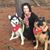 Debbie Davis's profile image