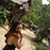 Marta Villa Guirado's profile image