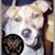 Mark Bartoletti's profile image