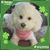 Lin Ferrara's profile image