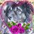 Val Lancaster's profile image