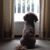 Karen Lambert's profile image