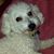 Lucy Jaffe's profile image