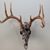 Jason Jex's profile image