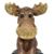 Susan Walker's profile image