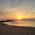 Cindy Amick's profile image