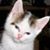 Patrick McMillan's profile image