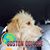 Linda Mason Crimmins's profile image