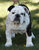 Amy C.'s profile image
