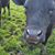 Hugh David Turner's profile image