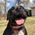 Jolene Griffey's profile image