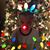 Michelle Samuels's profile image