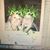Deeann Allison's profile image