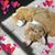 Carolyn A Horton's profile image