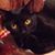 Patsy Coy's profile image