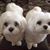Maria Nunez Hansley's profile image