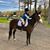 Kristen Jarbeau Brooks's profile image