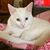 JoAnn Ischy Crum's profile image