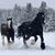 Julie Pflieger's profile image