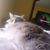 Edith Shaffer's profile image