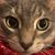 Michelle VanEpps's profile image