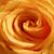 Jenny Bernau's profile image